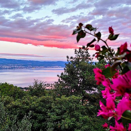 Apartment Sandra2 Lovran Εξωτερικό φωτογραφία